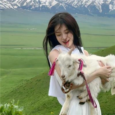 抱得美人归