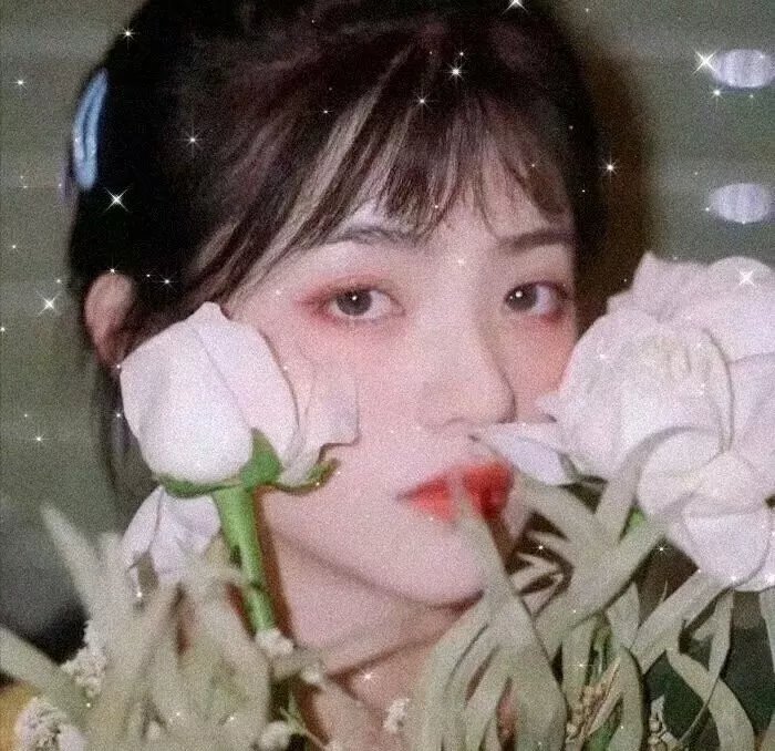 女士目标