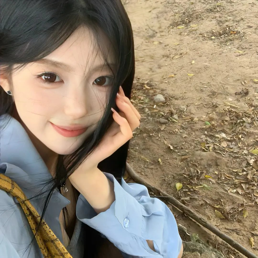 追梦小海豚